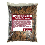 Casca De Pinus Polida Pequena 5 Litros Orquídeas Decoração