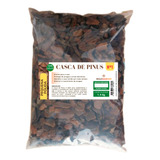 Casca De Pinus Polida Pequena N 1 Para Vasos Decoração 1 5kg