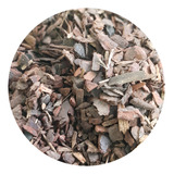 Casca Pinus Polida 20 Litros 100 Natural Substrato 15 Mm Pq