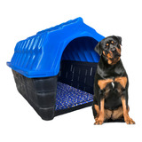 Casinha Casa Plastica Cachorro Cao Colchonete Numero 7 Fawal Cor Azul