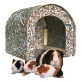 Casinha Casa Toca Para Porquinho Da Índia Ecológica