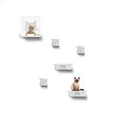 Gatos