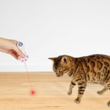 Cat Light Brinquedo Pata Laser Para Gatos