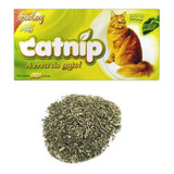 Cat Nip Catnip Erva Gato Natural Pet Ecolog 10 Gramas 1 Cx