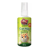 Catnip 100ml Catdog