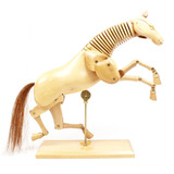 Cavalo Articulado De Madeira 30cm Manequim
