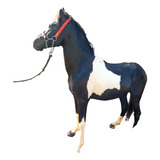 Cavalo Pampa De Preto Manga Larga
