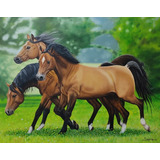 Cavalos Árabes Quadro Com Pintura A Óleo Sobre Tela 