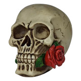 Caveira C Rosa Na Boca Crânio C Flor Decorativa Resina