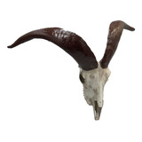 40cm