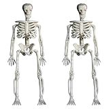 Caveira De Halloween Kit 2 Esqueletos Humano Articulado Realista 3D Para Decoração Dia Das Bruxas Casa E Quintal