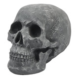 Caveira Decorativa Cranio Grande Tamanho Real Cinza Resina