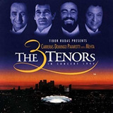 Cd 3 Tenors in Concert 1994