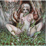 Cd Cannibal Corpse Worm Intested Slipcase