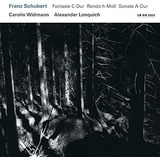 Cd  Franz Schubert  Fantasie D dur  Rondo H moll  Sonate A 
