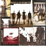 Cd Hootie The Blowfish Cracked Rear View