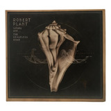 Cd Robert Plant Lullaby And