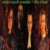 Cd The Choir Wide Eyed Wonder lacrado 1989 Cd Raro