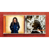 Cds Tracy Chapman Let
