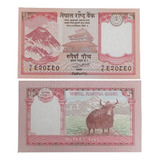 Cédula 5 Rupias Nepal 2008 Original