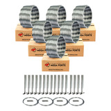 Cerca Concertina Simples 30cm 60 Metros Kit Completo