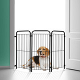 Cães