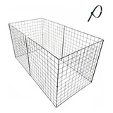 50x100