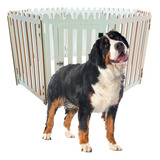 Cercado Canil De Luxo Para Cães De Porte Médio Chocmaster Cor Branco