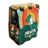 Cerveja Puro Malte Praya 355ml Pack Com 6 Unidades