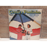 Vinil
