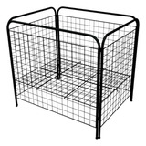 Bola