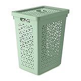 Menta
