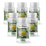 Chá Branco Kit 6 Potes 500mg 100 Puro Produto diurético 