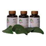 Chá De Milona 90 Cápsulas 500mg Três Frascos