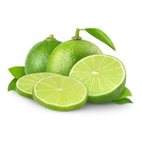 Chá Mate Limão Solúvel Qualimax 1kg