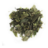 Chá Verde Bancha 1kg Vvt Natural