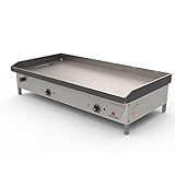 Chapa Lanche Bifeteira Profissional Elétrica Pr 1000e Progás 220v