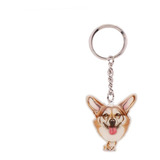 Corgi