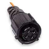 Chicote 4 Vias Reparo