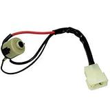 CHICOTE COM MIOLO CONTATO MB