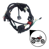 Chicote Completo Honda Cbx 250 Twister 2001 2002 2003