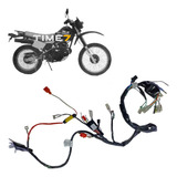Chicote Fiação Principal Xlx 250r 1987 1988 1989 1990 1991