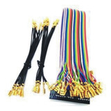 Chicote Gpio Para Raspberry Terras P 2 Jogadores
