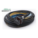 Chicote Injepro T5000 Injepro 3mt