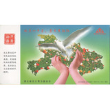 China Cartão Postal Circulado Em 2006 219