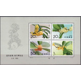 China Flores 1995 Bloco