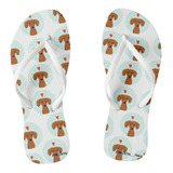 Dachshund