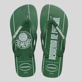 Chinelo Times Masculino Adulto Original Envio Rápido Barato
