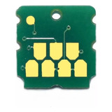 Chip Compativel Com Caixa Tanque C9344 L5590 Xp2100 Xp 3100