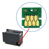 Chip Epson T6716 Wf C5790 C5710 Lixeira Tanque De Manutenção
